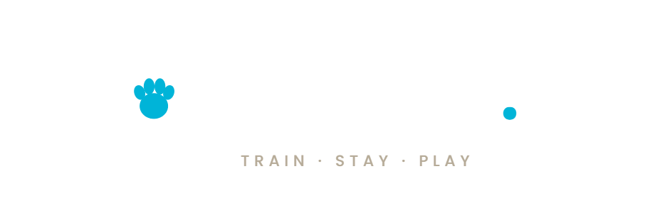 doggyday.dog logo